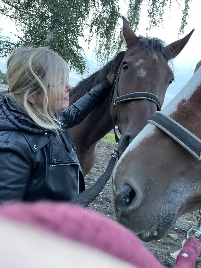 Desiree en haar paarden image