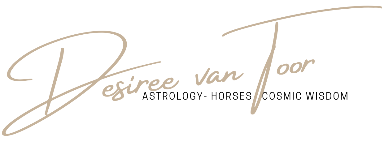 desiree van Toor