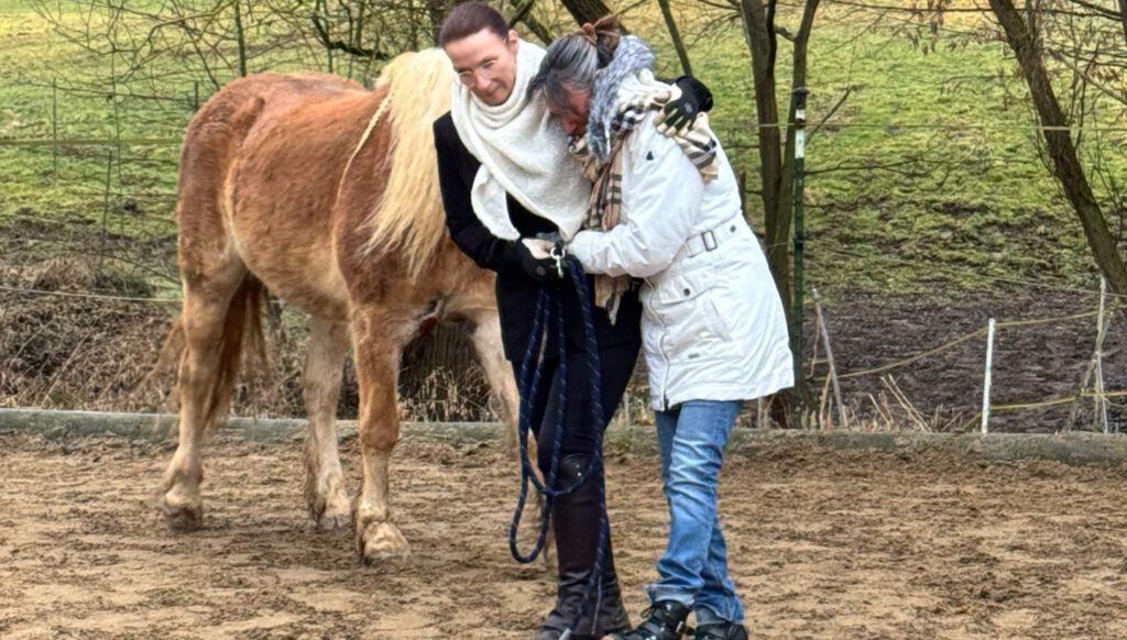 Pferden und Desiree van Toor