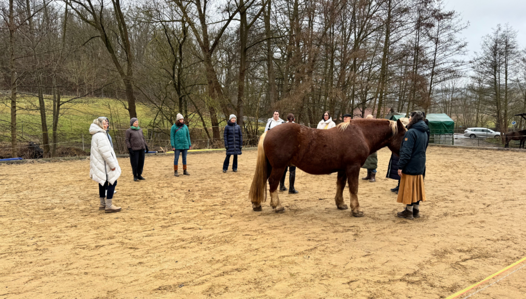 Aufstellung mit pferden